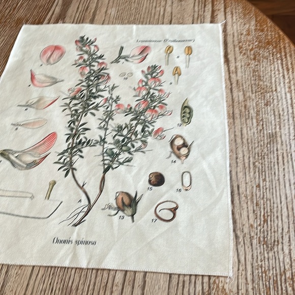 Botanical floral fabric textile art frameable - Picture 4 of 10